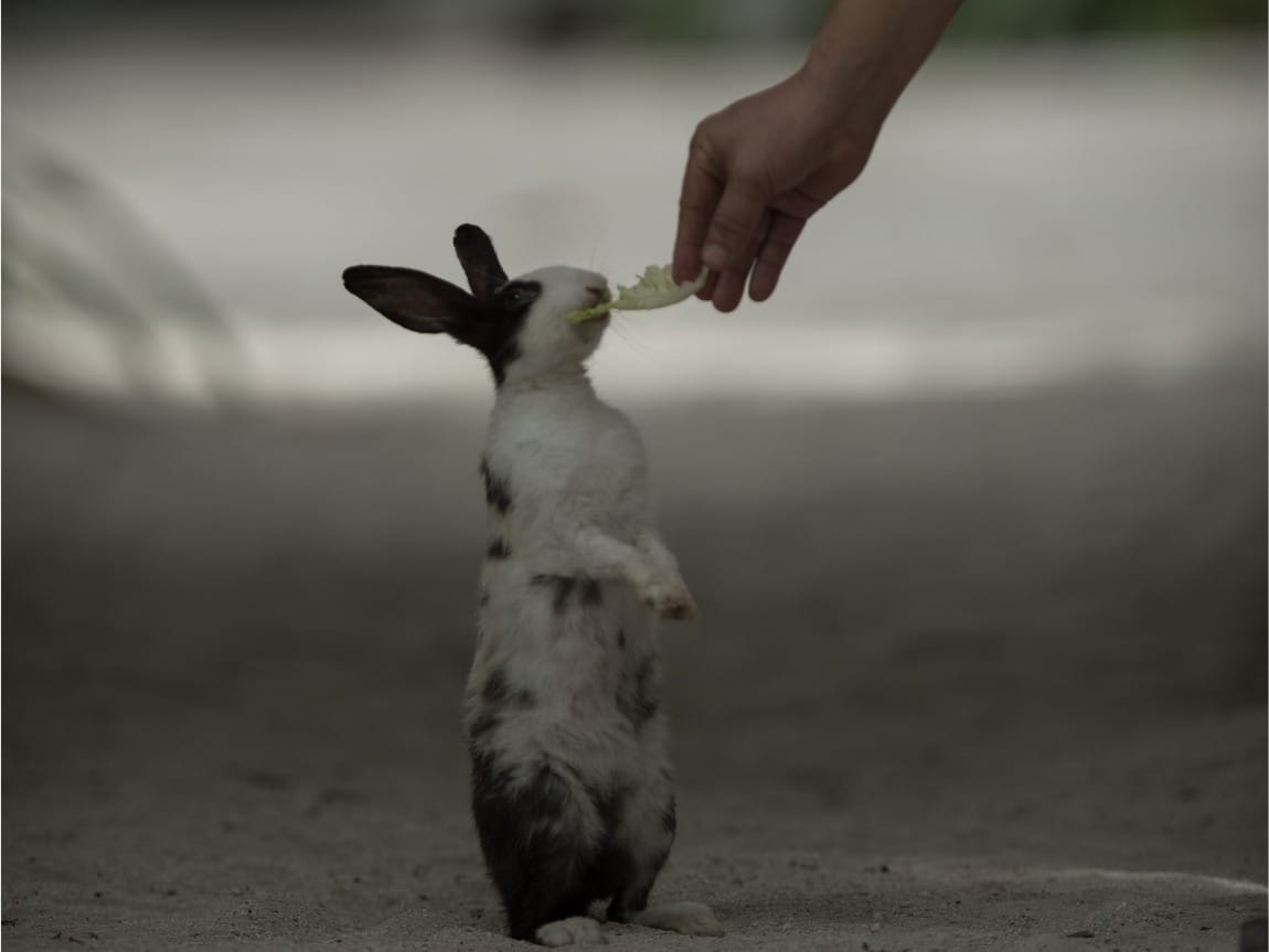 Redefining Luxury: An Editor's Journey into the Soul of Soneva Fushi