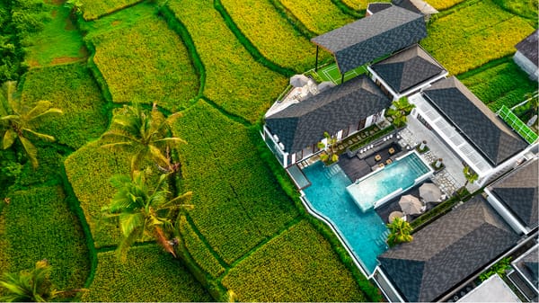 Persistence, Transparency, and Vision: The Formula of Nicolas Cheneve