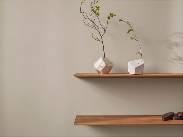 Trend 2024: Earth Tones