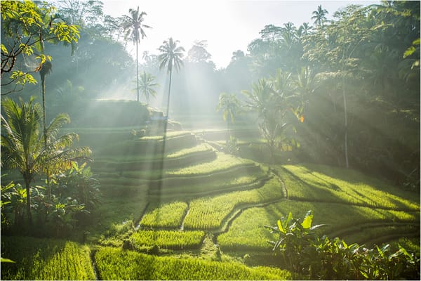 Spotlight Communications announced The 8 travel trends that will shape 2026