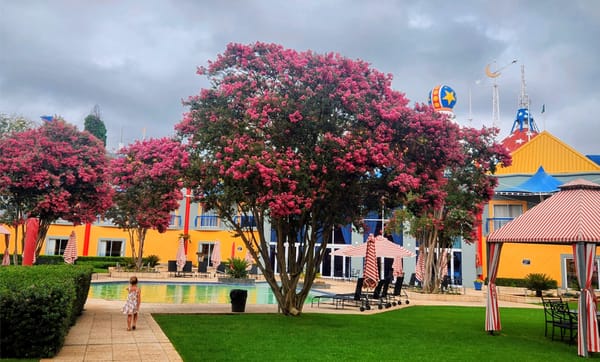 What happened when I stopped treating Johannesburg like a layover